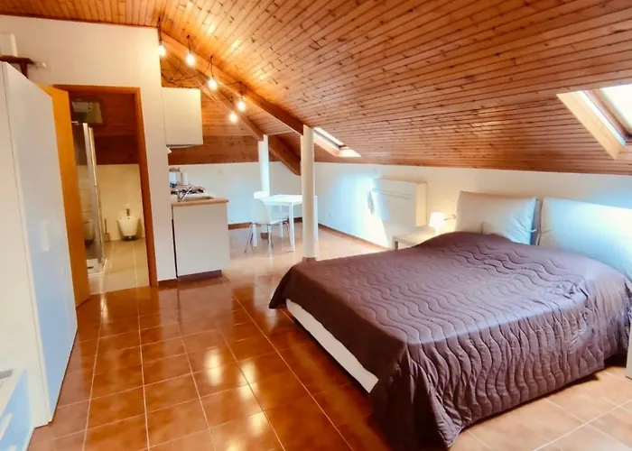 Castagneto 8 Rapallo